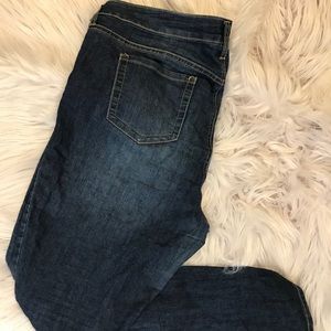 Torrid Skinny Jeans